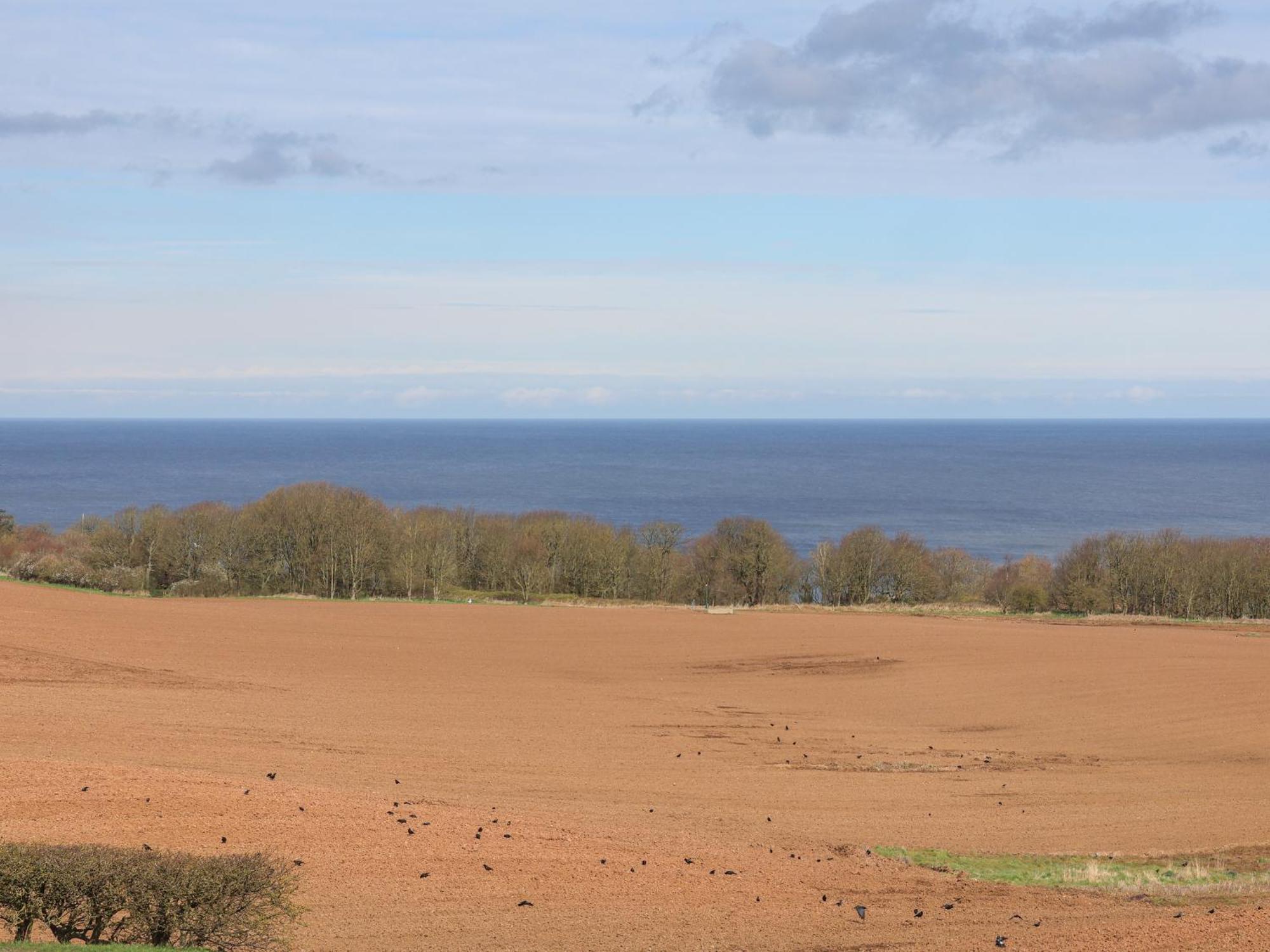 315 Filey Road Holiday home Scarborough