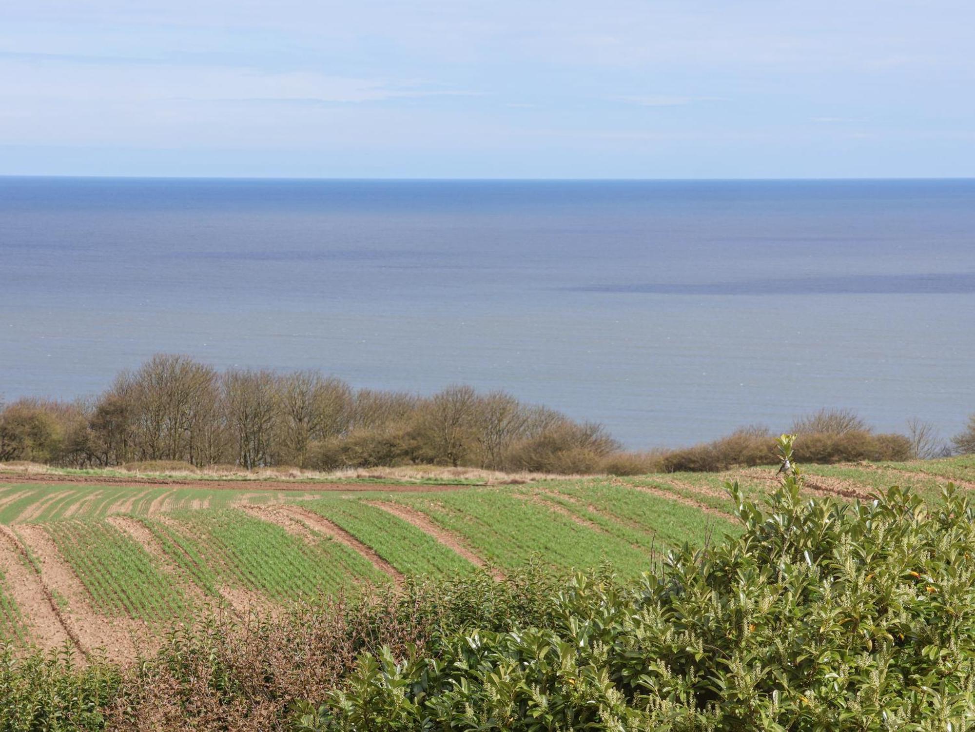Holiday home 315 Filey Road *